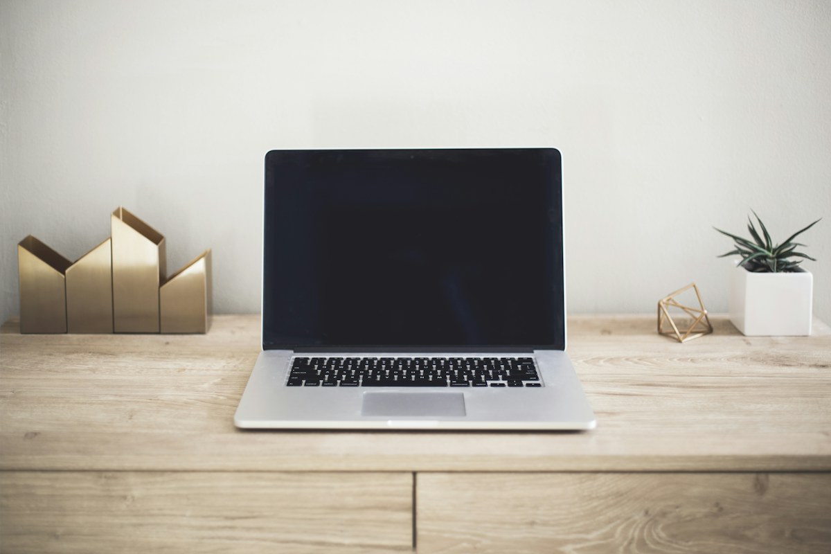Open laptop on a wooden desk beside a plant